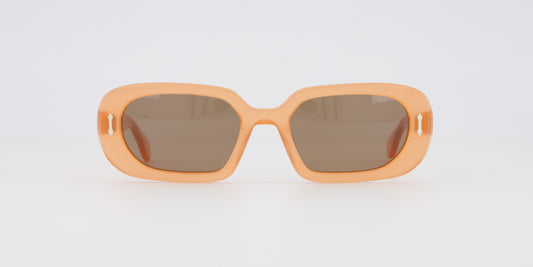 Delarge Sunglasses Duncan Salmon
